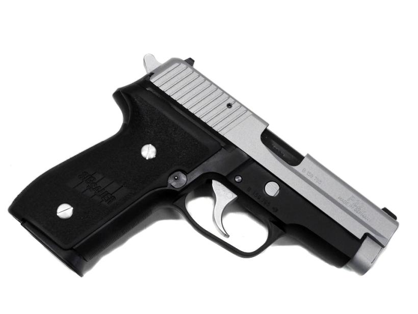 [タナカ] SIG P228 2トーン EVO2 フレームHW